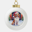 Suche nach englischer springer spaniel ornamente Weihnachtsmannmütze