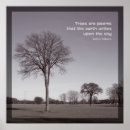 Suche nach schwarze bäume poster Schwarz weiß bäume