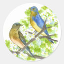 Suche nach bluebird aufkleber Bluebirts