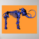 Suche nach paläontologie poster Knochen