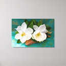 Suche nach magnolien leinwandbilder Blume