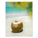 Suche nach kokosnuss poster Paradies
