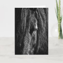 Suche nach schwarze pferde karten Liebe