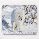 Suche nach schlau mousepads Fuchs