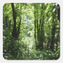Suche nach regenwald aufkleber Grün