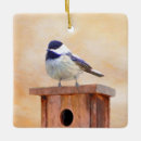 Suche nach vogelhaus ornamente Vogelvogel