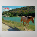 Suche nach siziliens poster Kränklich