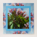 Suche nach frangipani puzzle Pflanze