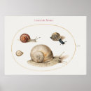 Suche nach niedliche schnecke poster Vintag