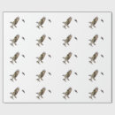 Suche nach osprey Raubvögel