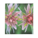 Suche nach makro notizblock Blume