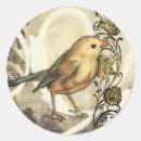 Suche nach gelber vogel aufkleber Tier