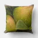 Suche nach äpfel kissen Obst