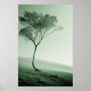 Suche nach einsamer baum poster Himmel