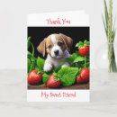 Suche nach freunde für immer postkarten Hund