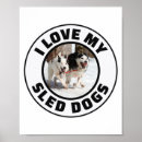 Suche nach schlittenhunde poster Alaska