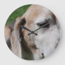 Suche nach alte hunde poster Beagle