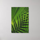 Suche nach palmwedel poster Blätter