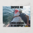Suche nach sharks postkarten Lustig