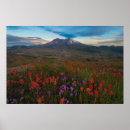 Suche nach indianer andere poster Landschaft