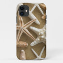 Suche nach starfish hüllen Küste