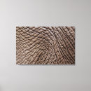 Suche nach afrikanische elefanten leinwandbilder Tiere