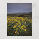 Suche nach hochebene postkarten Natur