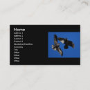 Suche nach rabe visitenkarten Tier