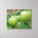 Suche nach tomate leinwandbilder Nahrung