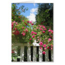 Suche nach täglich postkarten Lang