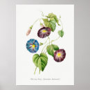 Suche nach vintage botanicals poster Antique