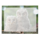 Suche nach schafe notizblock Niedlich