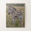 Suche nach blicken puzzle Fotografie