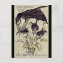 Suche nach calla postkarten Botanisch