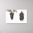 Suche nach amerikanischer bison leinwandbilder Landschaft