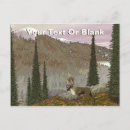 Suche nach karibu postkarten Tiere