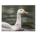 Suche nach kanadisch notizblock Natur