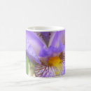 Suche nach makro tassen Iris