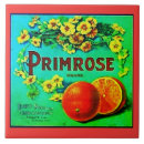 Suche nach in orange fliesen Vintag