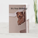 Suche nach aufgeregt karten Niedlich