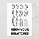 Suche nach evolution postkarten Biologie