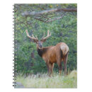 Suche nach elch kleine notizbücher Gegner