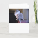 Suche nach mit augen karten Haustier