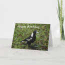 Suche nach elster postkarten Vogel