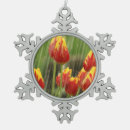 Suche nach frühlingstulpe Vögel und blüte