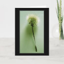 Suche nach zerbrechlich karten Blume