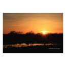 Suche nach baum silhouette poster Sonne