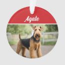 Suche nach airedale terrier ornamente Airedales
