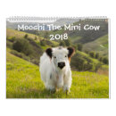 Suche nach kühe kalender Tier