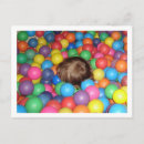 Suche nach unschuldig postkarten Spaß